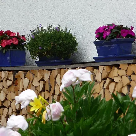 Appartement Fiausch *