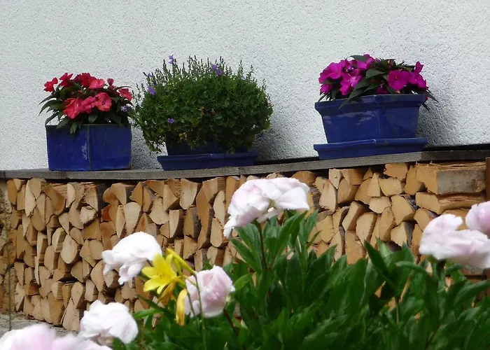 Διαμέρισμα Fiausch *